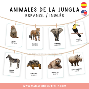 Animales de la jungla flashcards en español e inglés