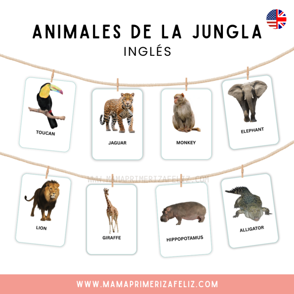 Animales de la jungla en Inglés