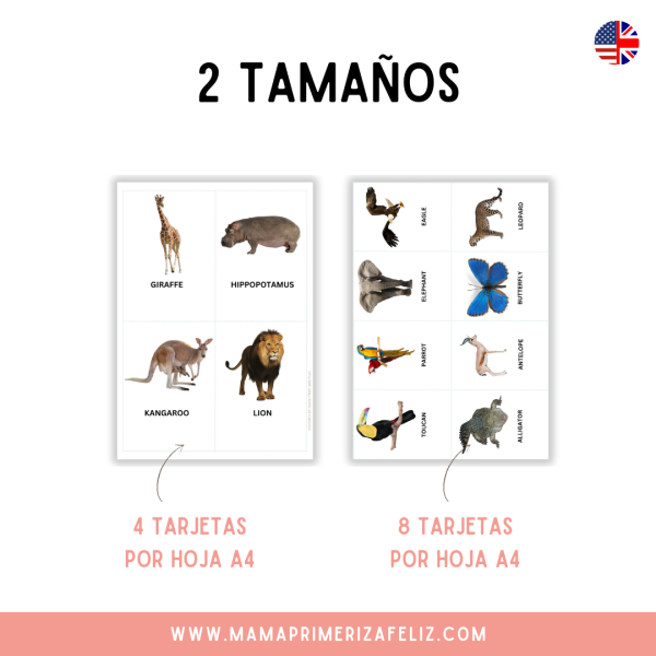 Animales de la jungla flashcards en inglés