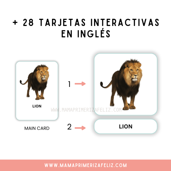 Animales de la jungla flashcards en inglés