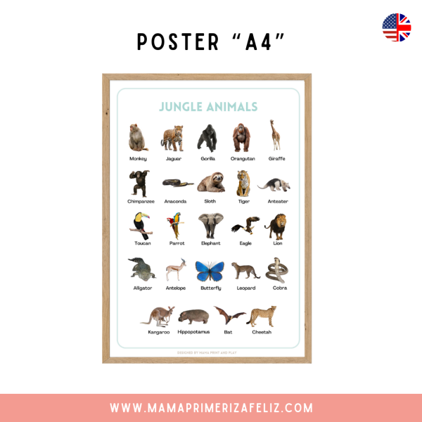 Animales de la jungla flashcards en inglés