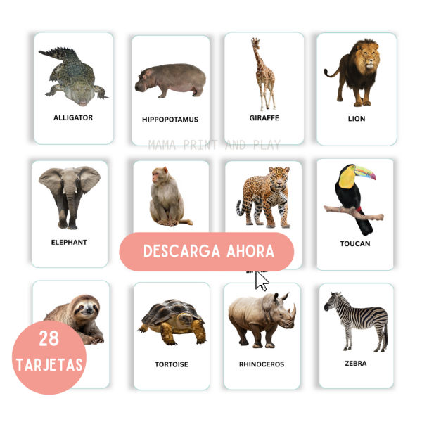 Animales de la jungla flashcards en inglés