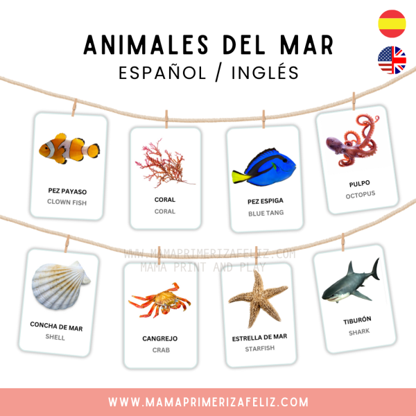 Animales del mar flashcards en español e inglés